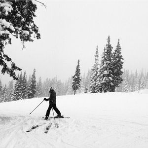 Meet your Posher, Jules